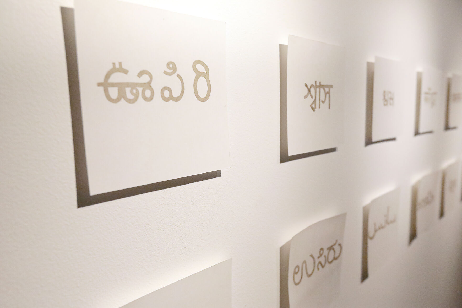 Work by Nirmal Raja